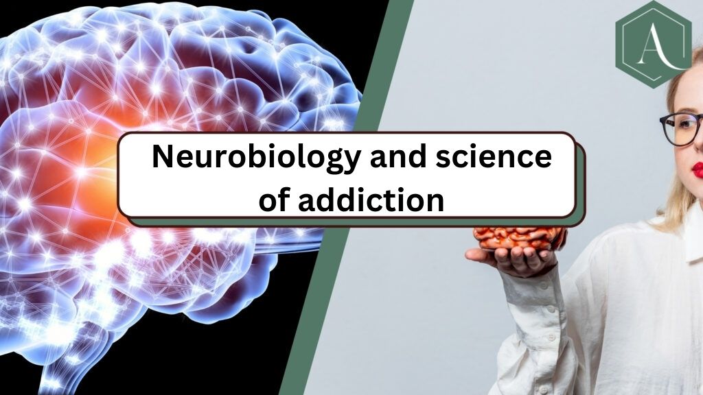 Neurobiology and science of addiction