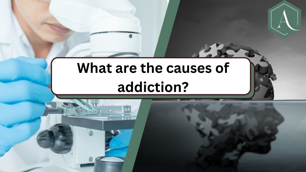 What are the causes of addiction?